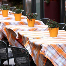 LIPENLI 30 Confezioni Tovaglia Clip in Acciaio Inox Table Cover Morsetti