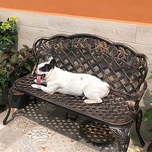GaoF Panchina da Esterno panchina da Parco, Poltrona da Cortile panchina in Metallo Bracciolo con Schienale, mobili da Esterno 2 posti Comoda Sedia da Giardino, per corridoi di