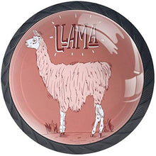 Lama rosa Alpaca Grass Coral Pomelli per Porta Set di 4 Pomelli per Mobili Manopole per Cassetti Cucina Armadio Vetro
