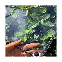 LXHONG Teloni Pieghevoli，Teloni Resistenti in PVC, Shade Garden Net per Coperture per Piante Piscina 450 Gr，Personalizzabile (Color : Chiaro, Size : 2x4m)