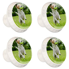 Maniglie per cassetti Manopole per cassetti Manopole rotonde Confezione da 4 per armadietto, cassetti, cassettiere, cassettiere ecc - cane che corre