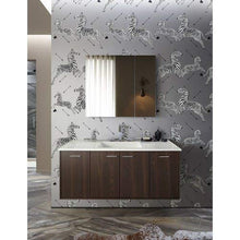 KOHLER K-99009-NA Verdera - Armadietto per medicinali in alluminio con specchio d'ingrandimento regolabile e porta a chiusura lenta