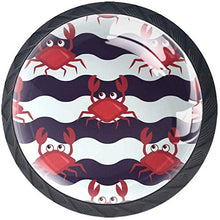 Granchio Rosso Isolato Pomelli per Porta Set di 4 Pomelli per Mobili Manopole per Cassetti Cucina Armadio Vetro
