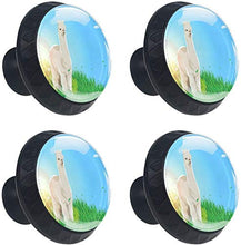 Lama Alpaca Sulla Prateria Pomelli per Porta Set di 4 Pomelli per Mobili Manopole per Cassetti Cucina Armadio Vetro