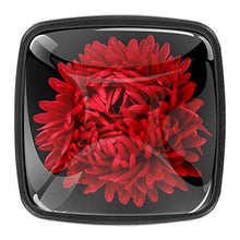 Fiore rosso dell'aster Pomelli per Porta Set di 4 Pomelli per Mobili Manopole per Cassetti Cucina Armadio Vetro