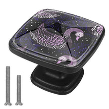 Winter with decorative swans Pomelli per Porta Set di 4 Pomelli per Mobili Manopole per Cassetti Cucina Armadio Vetro