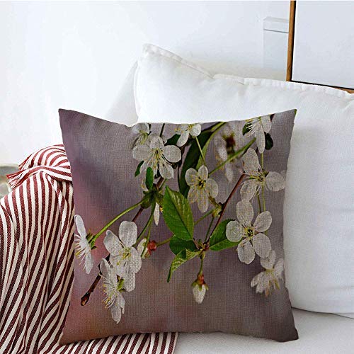 Il cuscino decorativo copre i fiori di ciliegio La vita delle piante da giardino sulla vitalità Calore naturale Arcobaleno Parchi naturali Sun All Outdoor copricuscini 45 X 45CM