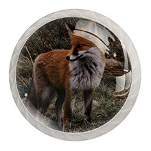 Volpe animale 4 PCS Pomelli per Porta, Pomolo per Mobile, Pomelli per Mobili con Viti, Maniglia per Armadietto, Pomelli per Porta, Pomelli per Cassetti per Porta, Armadio, Cassetto e Credenza