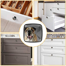 Ritratto del bulldog 4 PCS Pomelli per Porta, Pomolo per Mobile, Pomelli per Mobili con Viti, Maniglia per Armadietto, Pomelli per Porta, Pomelli per Cassetti per Porta, Armadio, Cassetto e Credenza