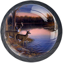 River Edge Deers and Sunset Scenery Pomelli per Porta Set di 4 Pomelli per Mobili Manopole per Cassetti Cucina Armadio Vetro