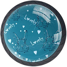Lepri carine Pomelli per Porta Set di 4 Pomelli per Mobili Manopole per Cassetti Cucina Armadio Vetro