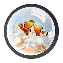 Set di 4 maniglie rotonde per armadio da cucina, credenza, cassettiera, cassettiera, con viti, per cucina, comò, armadietto, bagno, armadio