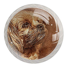 Maniglie per cassetti Manopole per cassetti Manopole rotonde Confezione da 4 per armadietto, cassetti, cassettiere, cassettiere ecc. Cane