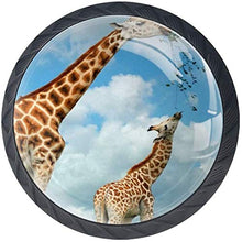 Giraffa madre e alimentazione del bambino Pomelli per Porta Set di 4 Pomelli per Mobili Manopole per Cassetti Cucina Armadio Vetro