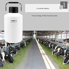 CGOLDENWALL 16L di azoto liquido serbatoio per congelazioni con 3 secchi