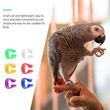 Cabilock 200Pcs Anelli di Piccione Vuoti Anello Colorato Piede Anello Gestione degli Uccelli Piccione Anello di Quaglia Strumenti di Alimentazione degli Animali Colorati