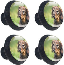 Cucciolo Di Cane Occhi Tristi Marrone Pomelli per Porta Set di 4 Pomelli per Mobili Manopole per Cassetti Cucina Armadio Vetro