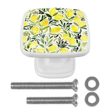 Agrumi Limone 4 PCS Pomelli per Porta, Pomolo per Mobile, Pomelli per Mobili con Viti, Maniglia per Armadietto, Pomelli per Porta, Pomelli per Cassetti per Porta, Armadio, Cassetto e Credenza