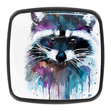 Pittura animale procione colorato Pomelli per Porta Set di 4 Pomelli per Mobili Manopole per Cassetti Cucina Armadio Vetro