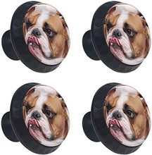 Bulldog francese Lovely Brown Pomelli per Porta Set di 4 Pomelli per Mobili Manopole per Cassetti Cucina Armadio Vetro