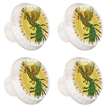 Manopole per cassetti in cristallo di vetro, con design multiplo per cassettiere, armadi, comodini, librerie, disegnate a mano, motivo: uccello e sole fiammeggiante