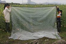 Telo Trasparente con Occhielli, Trasparente impermeabile incatramata, durevole, resistente allo strappo impermeabile incatramata, perforata della pellicola del PE, utilizzato for la protezione Padigli
