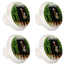 Maniglie per cassetti Manopole per cassetti Manopole rotonde Confezione da 4 per armadietto, cassetti, cassettiere, cassettiere ecc - Cane