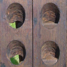 Piratenladen Scaffale per 40 Bottiglie - Real Vibrante Pannello Dalla Regione Champagne