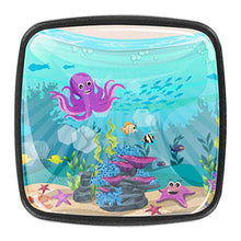 there are anemones fish and octopus funny Pomelli per Porta Set di 4 Pomelli per Mobili Manopole per Cassetti Cucina Armadio Vetro