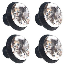 Un gruppo di gatti 4 PCS Pomelli per Porta, Pomolo per Mobile, Pomelli per Mobili con Viti, Maniglia per Armadietto, Pomelli per Porta, Pomelli per Cassetti per Porta, Armadio, Cassetto e Credenza