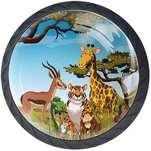 Animali selvaggi nel campo della savana Pomelli per Porta Set di 4 Pomelli per Mobili Manopole per Cassetti Cucina Armadio Vetro