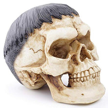 Decorativi Collezionabili Statue Ornamenti Teschio Resina Corpo Testa Modello Ornamenti personalità di Halloween Teschio Teschio Capelli Neri Regalo