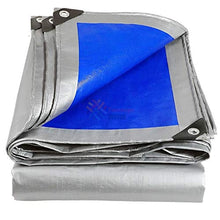 Tewango Argento + Blu ha ricoperto Water Resistant Tarp Heavy Duty Outdoor Rain Blocca Ombra Vela Patio Truck Copertura della Pellicola 180GSM (Color : 3M X 3M)