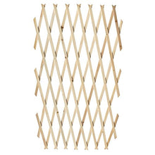 Tidyard Set 5 Pz Recinzione con Traliccio Estensibile in Legno | 180 x 90 cm