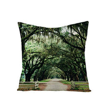 Federe Cuscini Divano 45X45,Fodere Per Cuscini Con Stampa Di Foglie Verdi Di Piante Tropicali Nordiche, Fodere Per Cuscini Lombari Per Divano Da Soggiorno Per Ufficio, Decorazioni Per La Casa Set Di 4