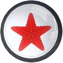 Imposta Royalty Starfish Pomelli per Porta Set di 4 Pomelli per Mobili Manopole per Cassetti Cucina Armadio Vetro