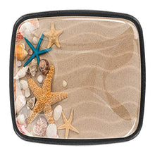 Conchiglie da spiaggia 4 PCS Pomelli per Porta, Pomolo per Mobile, Pomelli per Mobili con Viti, Maniglia per Armadietto, Pomelli per Porta, Pomelli per Cassetti per Porta, Armadio, Cassetto e Credenza