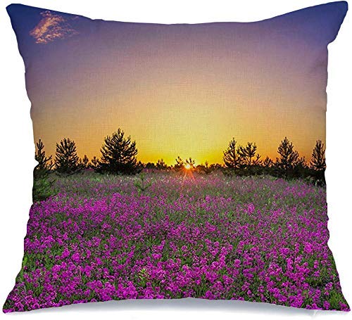 Copridivani Cuscini DivanoSole Urbano Estate Rurale Fioritura Fiore Viola Fiori Floreali Parchi Naturali Design Esterno Tranquillo copricuscini 45X45CM