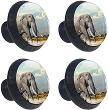 Grey Big Animal Elephant Outdoors Africa Pomelli per Porta Set di 4 Pomelli per Mobili Manopole per Cassetti Cucina Armadio Vetro