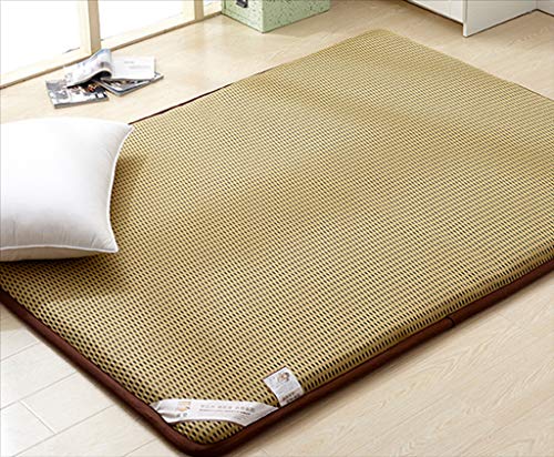 BEIGOO Tradizionale Giapponese Futon Materasso,Pieghevole Materasso Tatami Alleviare Pressione Portatile Materasso per Residenze Studentesche Ospite-B-90x200cm(35x79inch)