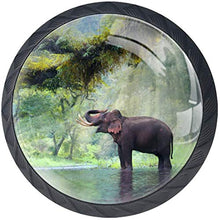 Bella foresta Green Elephant River Water Pomelli per Porta Set di 4 Pomelli per Mobili Manopole per Cassetti Cucina Armadio Vetro