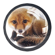 animale 4 PCS Pomelli per Porta, Pomolo per Mobile, Pomelli per Mobili con Viti, Maniglia per Armadietto, Pomelli per Porta, Pomelli per Cassetti per Porta, Armadio, Cassetto e Credenza