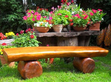 'Panca da giardino "Harzburg o. schienale, in legno di rovere massiccio