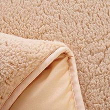BEIGOO Giapponese Futon Materasso,Pieghevole Anti-Scivolo Materasso Tatami Morbida Comodo Alleviare Pressione per Residenze Studentesche Casa Materasso-A-60x120cm(24x47inch)