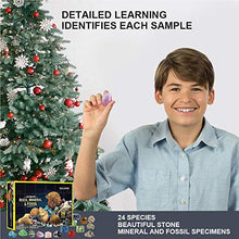 AOXING Confezione Regalo Rocks Storage, fornisce Giocattoli educativi di Alta qualità per Bambini, Regali Adatti per Bambini 24 Piccole finestre a Sorpresa Sono in Attesa di Essere Aperte