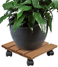 Kesper 69305 - Carrello per Piante, in Legno di Pino Certificato FSC, 35 x 35 x 10 cm