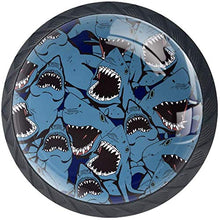 Modello blu dei denti dello squalo arrabbiato del mare Pomelli per Porta Set di 4 Pomelli per Mobili Manopole per Cassetti Cucina Armadio Vetro