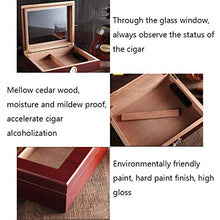 Umidificatore a scatola isolante 6 Sigari Humidor Dispositivo di Raffreddamento Portatile Legno di Cedro Cigar Idratante Governo Prospettiva Tetto Apribile Due Aree di Stoccaggio Igrometro Esterno