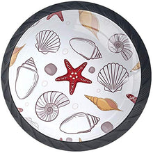 Modello conchiglia di stelle marine conchiglie Pomelli per Porta Set di 4 Pomelli per Mobili Manopole per Cassetti Cucina Armadio Vetro