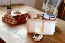 ESTETHI Scatola per Medicinali, Cassetta di Pronto Soccorso, Ergonomica e a Scomparti Rimovibili, 28x18X17 cm, 8,5 L